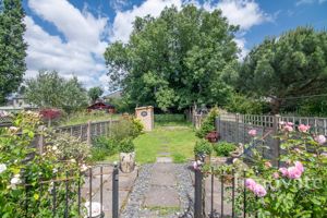 Photo 12- click for photo gallery